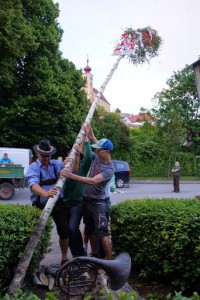 maibaum